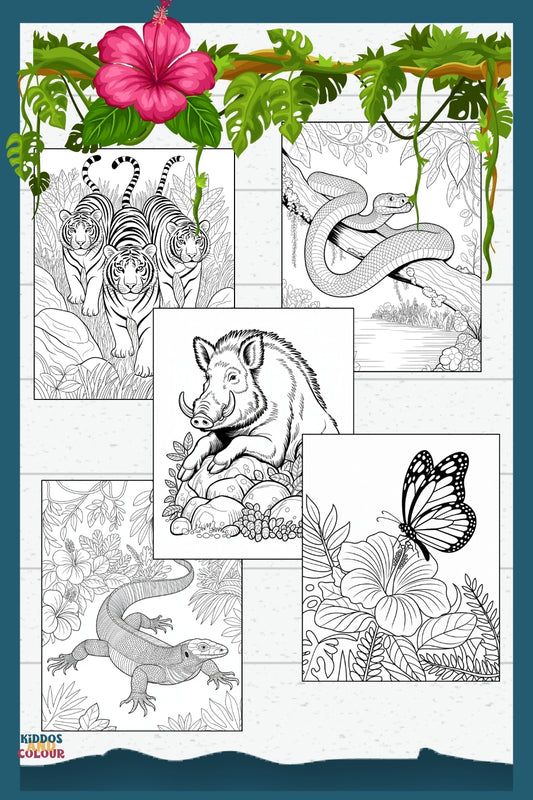 50 Jungle Animals Colouring Pages for Kids | Safari & Rainforest Animals Printable | Instant Download | Educational Colouring Sheets