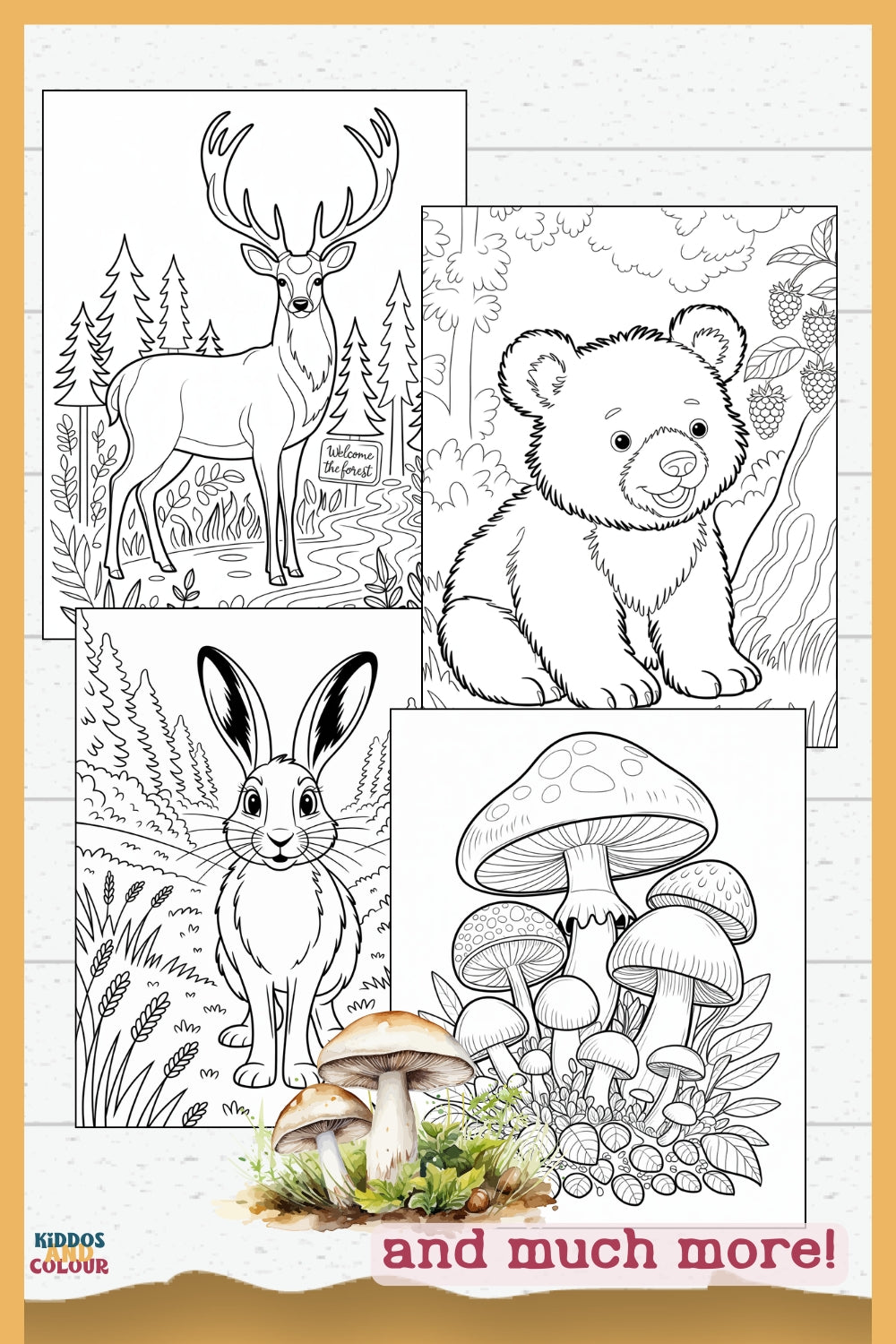 50 Woodland Animals Colouring Pages for Kids 4-12 – Printable – Deer, Fox, Owl, Squirrel, Nature Activity – Instant Download