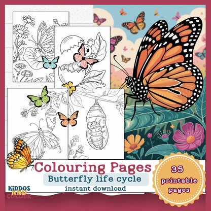 Butterfly Life Cycle 35 Colouring Pages for Kids: Educational Printable Activity, Learn Through Play, Science Craft & Colouring Sheets