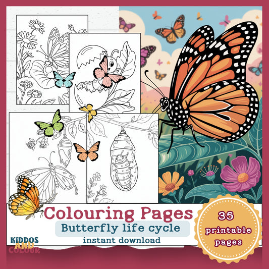 Butterfly Life Cycle Colouring Pages for Kids: Educational Printable Activity, Learn Through Play, Science Craft & Colouring Sheets