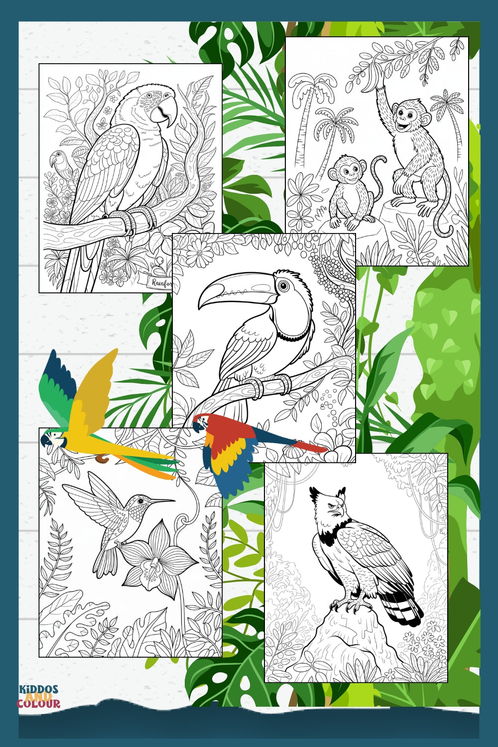 50 Jungle Animals Colouring Pages for Kids | Safari & Rainforest Animals Printable | Instant Download | Educational Colouring Sheets