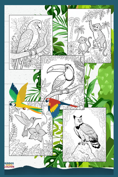 50 Jungle Animals Colouring Pages for Kids | Safari & Rainforest Animals Printable | Instant Download | Educational Colouring Sheets