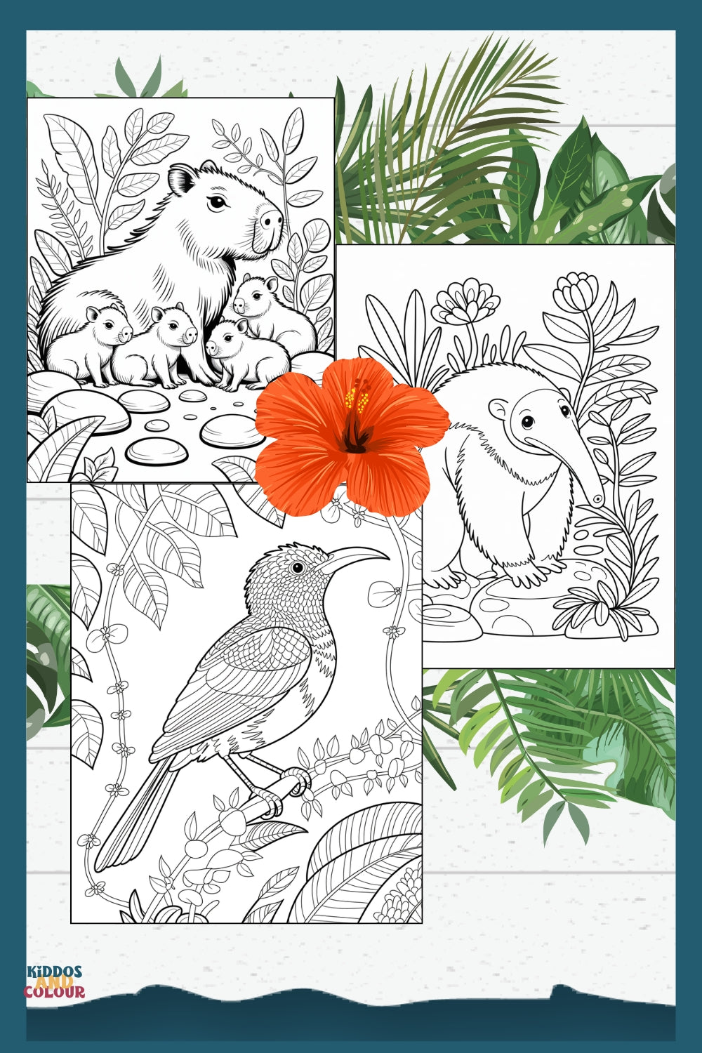50 Jungle Animals Colouring Pages for Kids | Safari & Rainforest Animals Printable | Instant Download | Educational Colouring Sheets