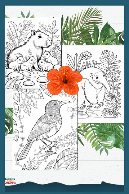 50 Jungle Animals Colouring Pages for Kids | Safari & Rainforest Animals Printable | Instant Download | Educational Colouring Sheets