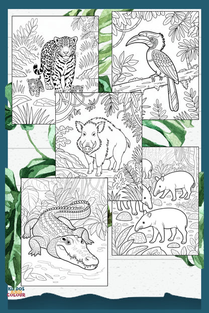 50 Jungle Animals Colouring Pages for Kids | Safari & Rainforest Animals Printable | Instant Download | Educational Colouring Sheets