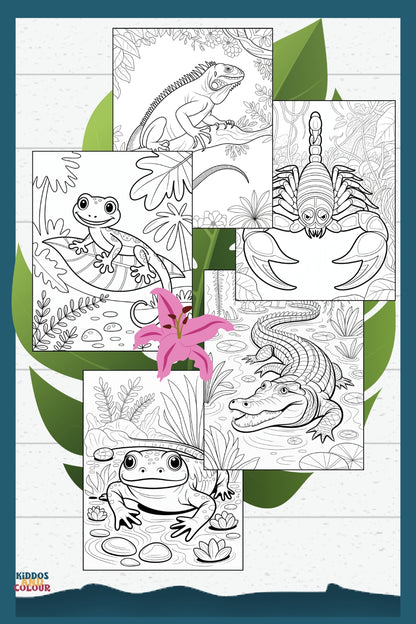 50 Jungle Animals Colouring Pages for Kids | Safari & Rainforest Animals Printable | Instant Download | Educational Colouring Sheets