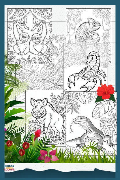 50 Jungle Animals Colouring Pages for Kids | Safari & Rainforest Animals Printable | Instant Download | Educational Colouring Sheets