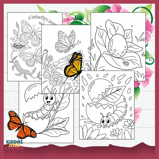 Butterfly Life Cycle Colouring Pages for Kids: Educational Printable Activity, Learn Through Play, Science Craft & Colouring Sheets