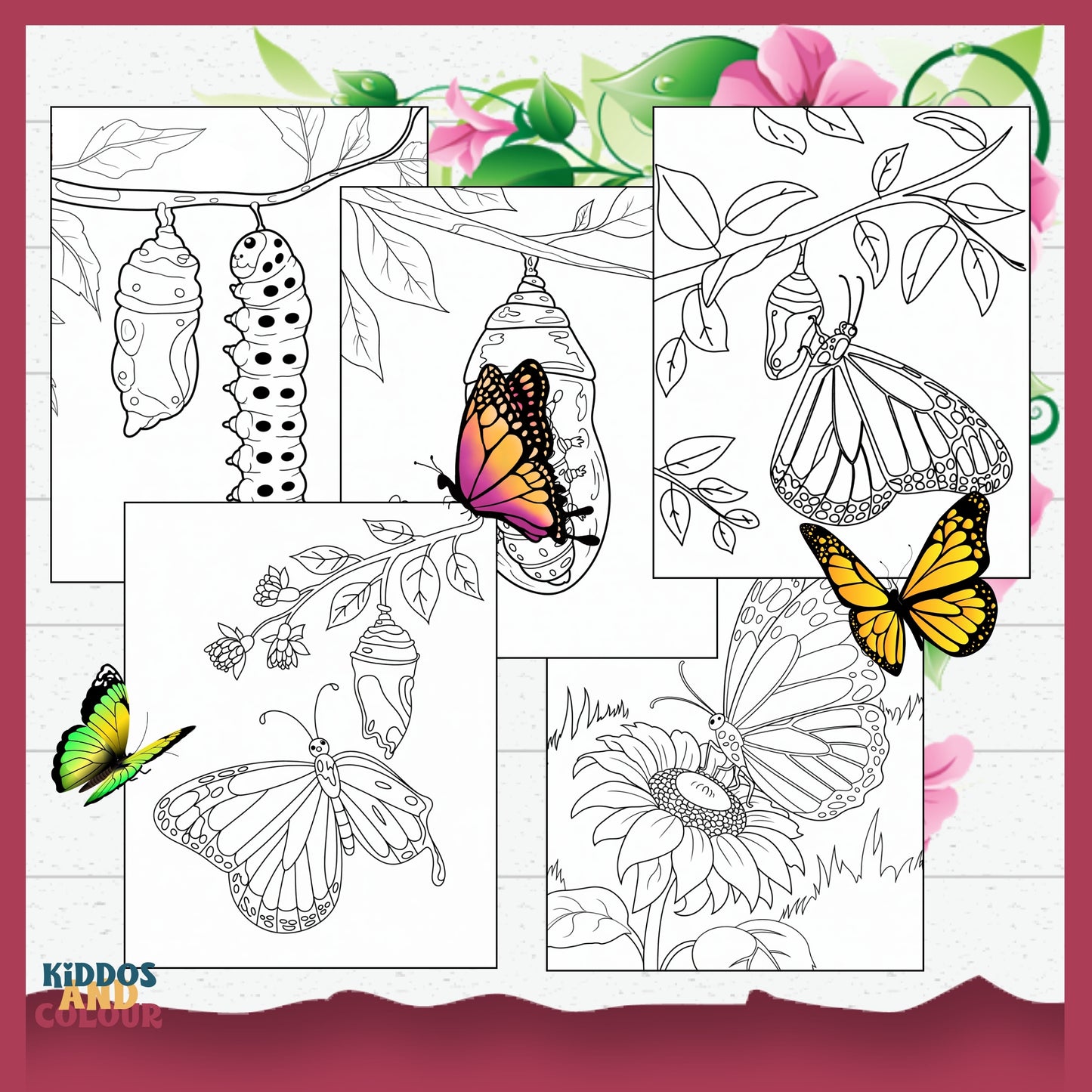 Butterfly Life Cycle 35 Colouring Pages for Kids: Educational Printable Activity, Learn Through Play, Science Craft & Colouring Sheets