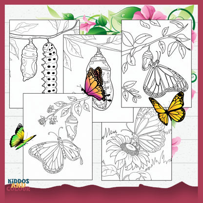 Butterfly Life Cycle 35 Colouring Pages for Kids: Educational Printable Activity, Learn Through Play, Science Craft & Colouring Sheets