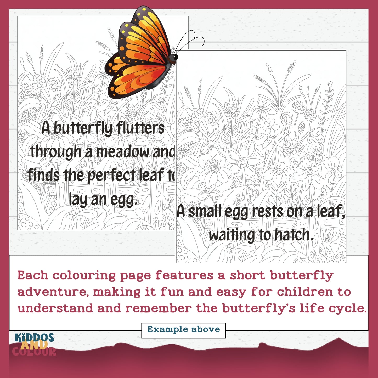 Butterfly Life Cycle 35 Colouring Pages for Kids: Educational Printable Activity, Learn Through Play, Science Craft & Colouring Sheets