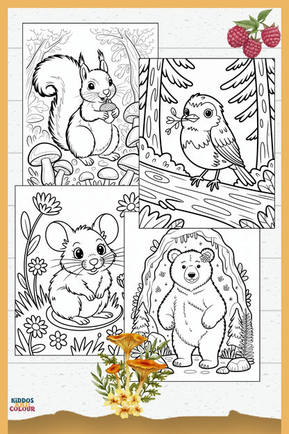 50 Woodland Animals Colouring Pages for Kids 4-12 – Printable – Deer, Fox, Owl, Squirrel, Nature Activity – Instant Download
