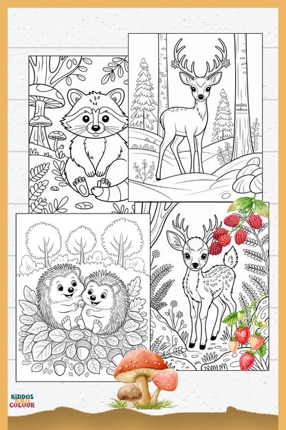 50 Woodland Animals Colouring Pages for Kids 4-12 – Printable – Deer, Fox, Owl, Squirrel, Nature Activity – Instant Download